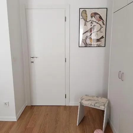 Summertime In Apartament *