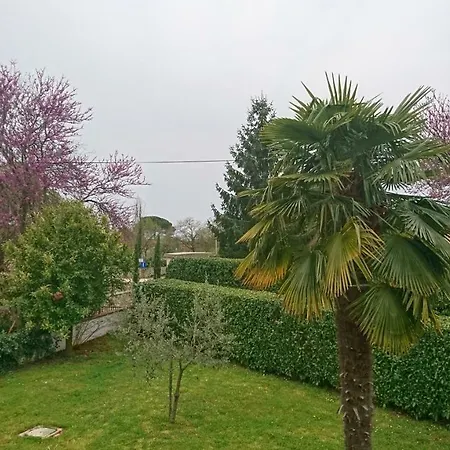 Summertime In Apartament Poreč