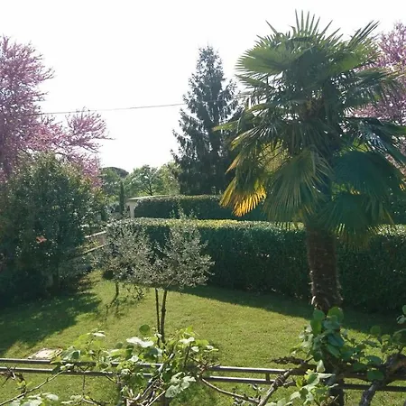 Apartment Summertime In